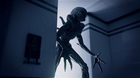 untitled alien film|aliens romulus release date.